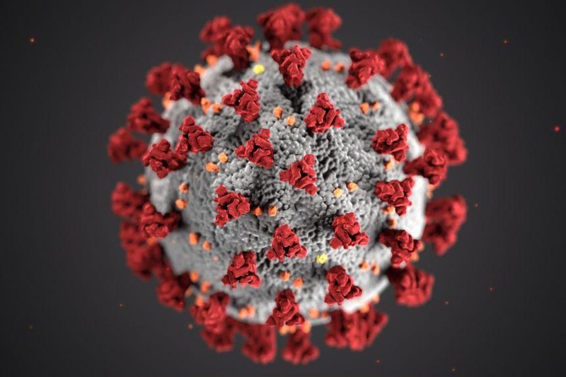 Mô hình virus SARS-CoV-2 (Ảnh - AFP)