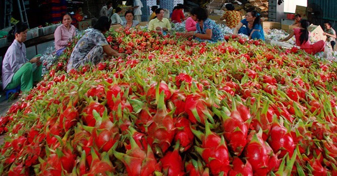 Bộ Công Thương sẽ thành lập tổ công tác xử lý sự cố thương mại