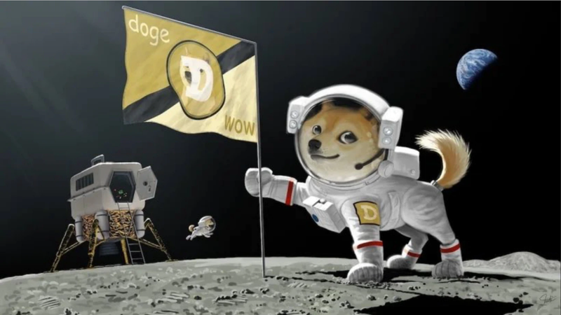 Ý tưởng điên rồ nhằm cứu vớt đồng Dogecoin (Ảnh: Indiatoday)