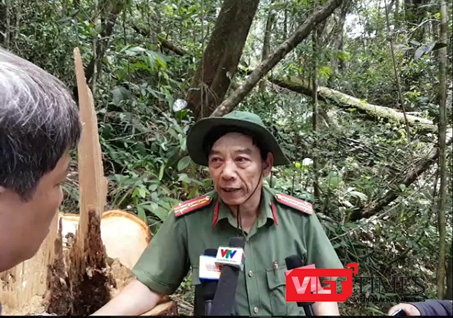 Quảng Nam. phá rừng, pơ mu, biên giới, biên phòng, công an, điều tra, VietTimes