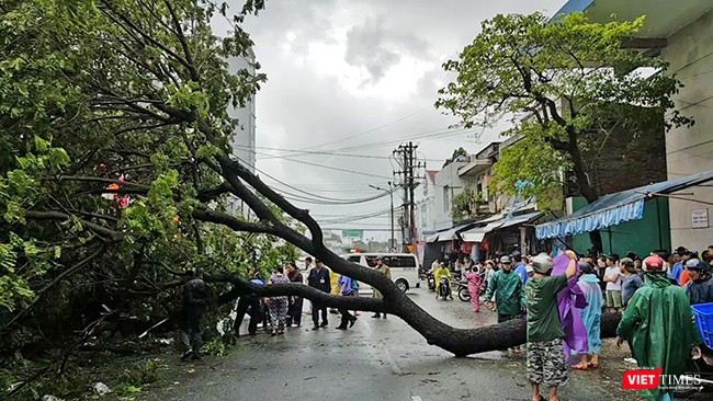 Bão số 12 không đổ bộ, Đà Nẵng vẫn thiệt hại nặng ảnh 11 Bão số 12 không đổ bộ, Đà Nẵng vẫn thiệt hại nặng ảnh 11