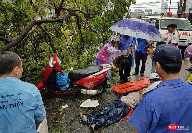 Bão số 12 không đổ bộ, Đà Nẵng vẫn thiệt hại nặng ảnh 12 Bão số 12 không đổ bộ, Đà Nẵng vẫn thiệt hại nặng ảnh 12
