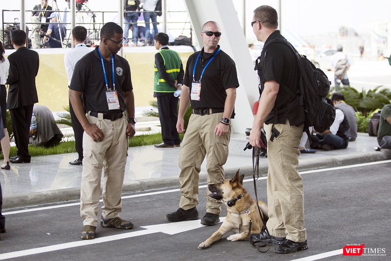 Chó nghiệp vụ cũng xuất hiện làm nhiệm vụ