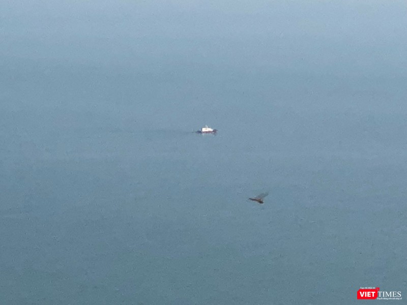 Những hình ảnh đầu tiên của tàu sân bay Mỹ Carl Vinson tại Đà Nẵng ảnh 3