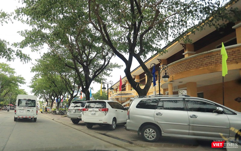 Đậu đỗ khắp nơi vỉa hè Đậu đỗ khắp nơi vỉa hè