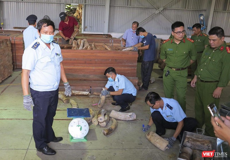 Cơ quan chức năng kiểm đếm lô hàng ngà voi nhậu lậu tại cảng Đà Nẵng