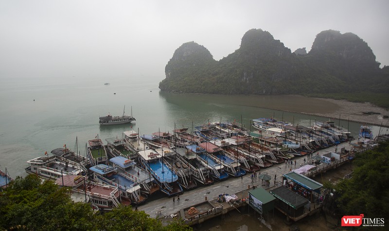 Tàu dịch vụ du lịch trên vịnh Hạ Long