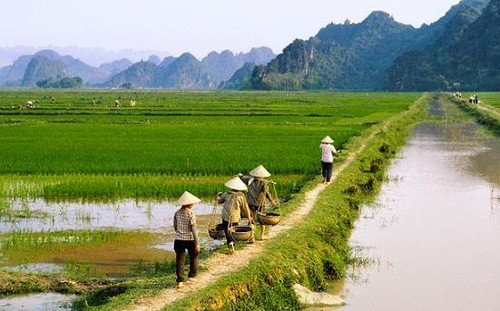 Ảnh minh họa