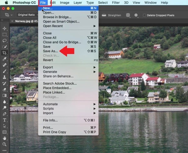Hướng dẫn cắt ghép ảnh trong Photoshop đơn giản ảnh 10