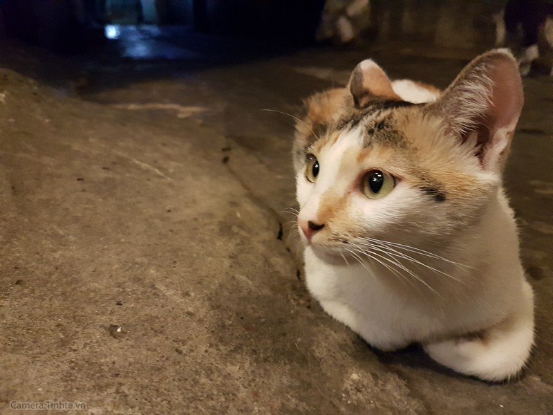 Review Camera của Samsung Galaxy S7 / S7edge ảnh 28 Review Camera của Samsung Galaxy S7 / S7edge ảnh 28
