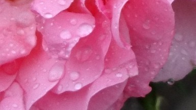 Độ chi tiết ảnh chụp của Sony Xperia X nhìn chung tốt, ảnh nét căng, song càng xa tâm ảnh, độ chi tiết càng giảm. Độ chi tiết ảnh chụp của Sony Xperia X nhìn chung tốt, ảnh nét căng, song càng xa tâm ảnh, độ chi tiết càng giảm.