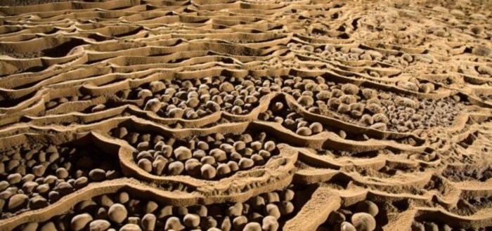 Vẻ đẹp kỳ thú bên trong hang Sơn Đoòng ảnh 5