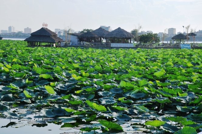 Một khu nhà hàng phục vụ ăn uống ngay trên mặt hồ - Ảnh: QUANG THẾ