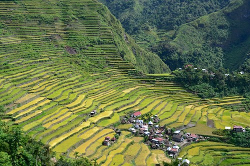 Hà Nội, Hội An vào top điểm đến không thể bỏ qua ảnh 8