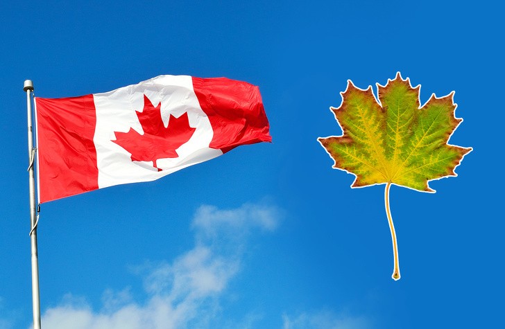 Khám phá 32 lá quốc kỳ độc đáo nhất trên thế giới ảnh 8 Khám phá 32 lá quốc kỳ độc đáo nhất trên thế giới ảnh 8