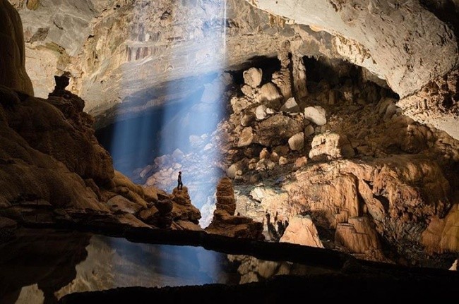 16 loài động, thực vật lớn nhất trên trái đất có thể bạn chưa biết ảnh 6