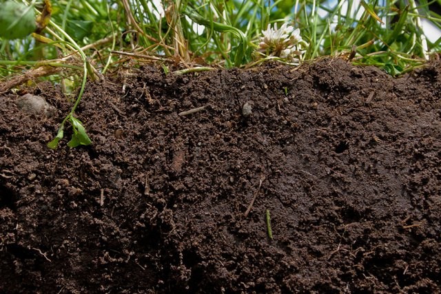 10 tài nguyên thiên nhiên sẽ sớm cạn kiệt theo thời gian ảnh 2 Soil-Top-10-Natural-Resources-That-Will-Deplete-Soon