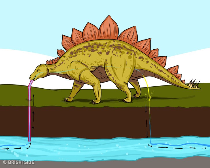 25 điều chứng minh rằng chúng ta biết rất ít về thế giới xung quanh ảnh 1