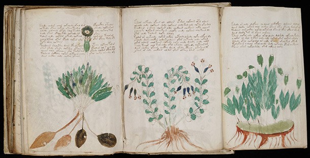 Bản thảo Voynich