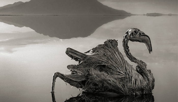 Hồ Natron Hồ Natron