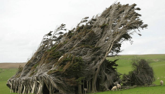 Slope Point Slope Point