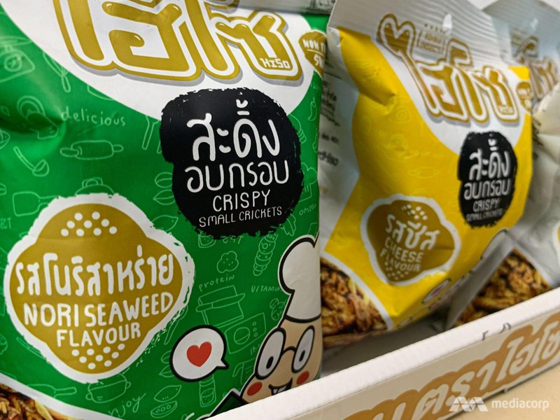 Côn trùng được sấy khô, tẩm gia vị và đóng gói như bim bim. Ảnh: CNA