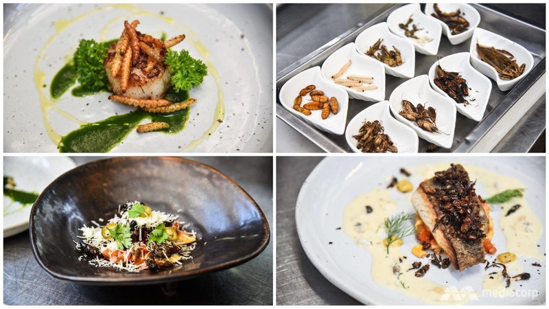 Các loại sâu và côn trùng có rất nhiều protein, có thể thay thế các loại thịt cá thông thường và anh tin rằng sẽ làm rung chuyển ngành công nghiệp nhà hàng ở Thái Lan . Ảnh: CNA