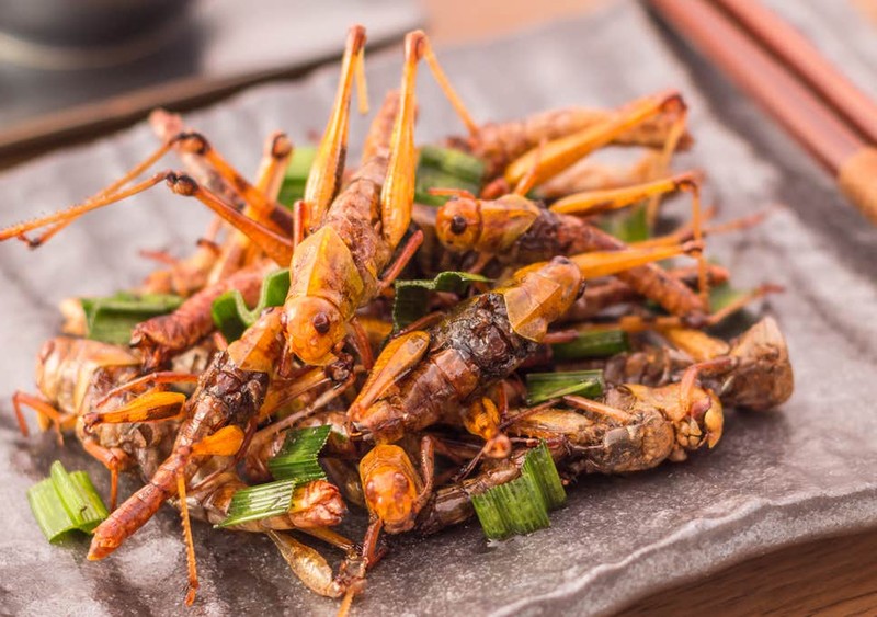 Châu chấu và dế chiên xù. Ảnh: CNA