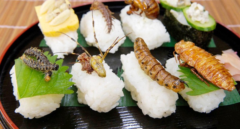 Còn đây là món sushi côn trùng thượng hạng. Ảnh: CNA