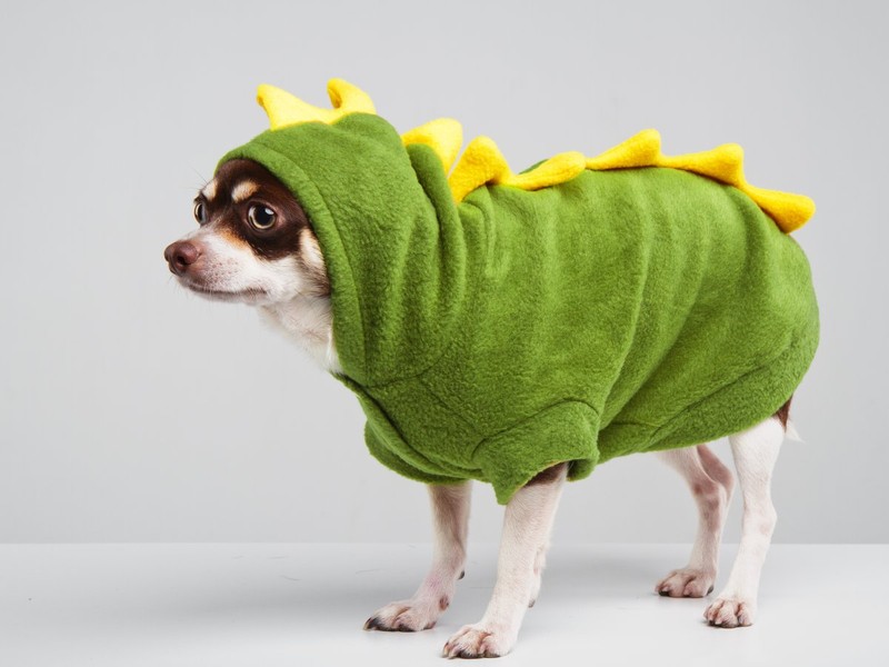 Top 50 trang phục Halloween “chất” nhất năm 2017  ảnh 39