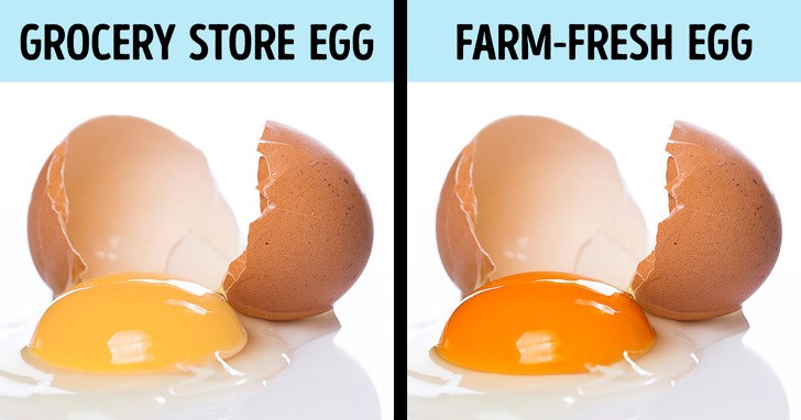 Ông chủ Lịch xuân Phương Nam và khát vọng thực phẩm sạch cho người Việt ảnh 7 9 mẹo kiểm tra bạn đang ăn thực phẩm sạch hay bẩn