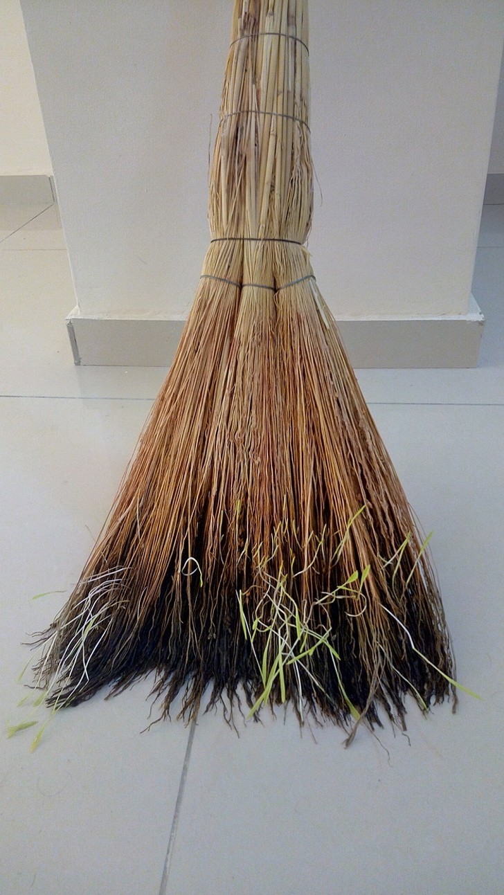 13 hình ảnh tốt hơn bất kỳ thuốc chống trầm cảm nào ảnh 5 13 hình ảnh tốt hơn bất kỳ thuốc chống trầm cảm nào ảnh 5