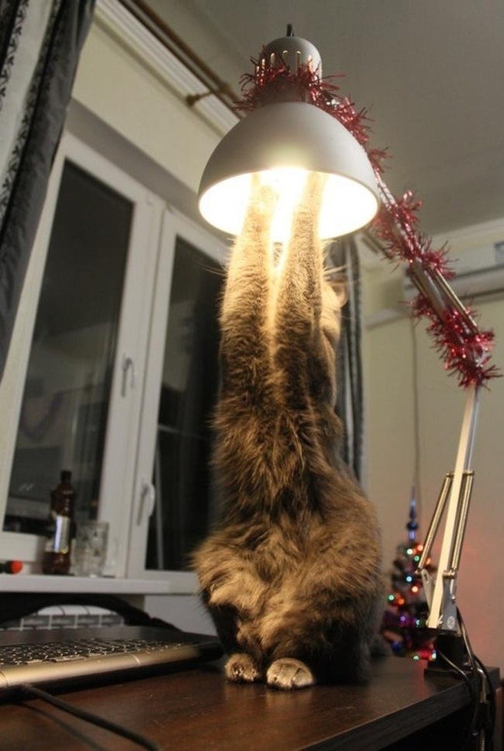 13 hình ảnh tốt hơn bất kỳ thuốc chống trầm cảm nào ảnh 4 13 hình ảnh tốt hơn bất kỳ thuốc chống trầm cảm nào ảnh 4