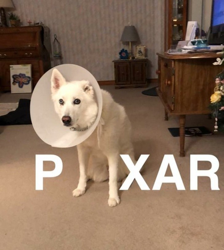 13 hình ảnh tốt hơn bất kỳ thuốc chống trầm cảm nào ảnh 9 13 hình ảnh tốt hơn bất kỳ thuốc chống trầm cảm nào ảnh 9