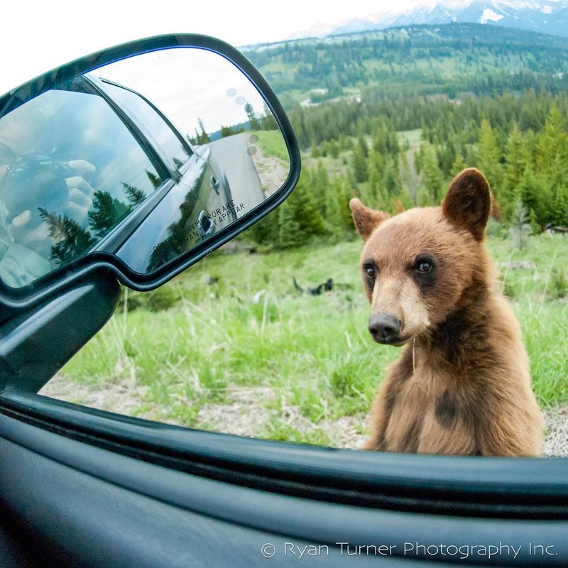 Những cặp đôi có màn phối hợp ăn ý nhất quả đất ảnh 10 Những cặp đôi có màn phối hợp ăn ý nhất quả đất ảnh 10