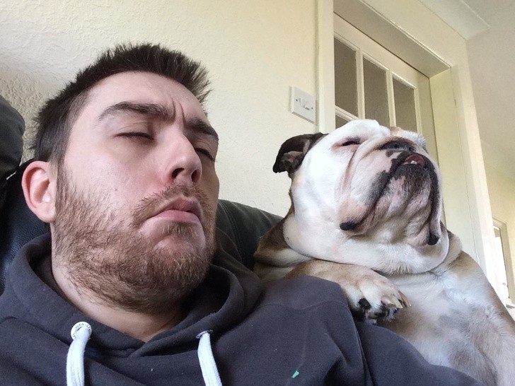 15 hình ảnh về chó Bully khiến bạn mỉm cười ảnh 1 15 hình ảnh về chó Bully khiến bạn mỉm cười ảnh 1