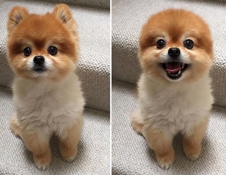 15 bức ảnh hài hước khiến cuộc sống của bạn tươi sáng hơn ảnh 14 15 bức ảnh hài hước khiến cuộc sống của bạn tươi sáng hơn ảnh 14