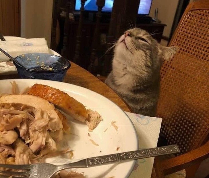 15 bức ảnh hài hước khiến cuộc sống của bạn tươi sáng hơn ảnh 6 15 bức ảnh hài hước khiến cuộc sống của bạn tươi sáng hơn ảnh 6