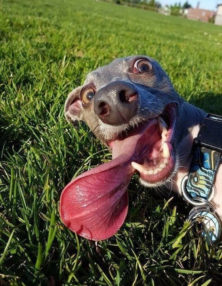 15 bức ảnh hài hước khiến cuộc sống của bạn tươi sáng hơn ảnh 1 15 bức ảnh hài hước khiến cuộc sống của bạn tươi sáng hơn ảnh 1