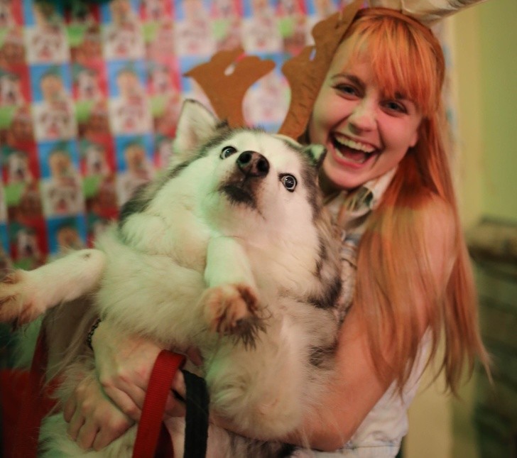 15 hình ảnh chứng minh không phải thú cưng nào cũng hào hứng với Giáng sinh ảnh 6 15 hình ảnh chứng minh không phải thú cưng nào cũng hào hứng với Giáng sinh ảnh 6