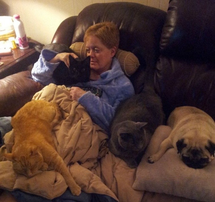 15 hình ảnh chứng minh cuộc sống sẽ ý nghĩa hơn nếu có thú cưng ảnh 3