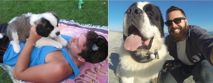 15 bức ảnh cảm động về quá trình trưởng thành của cún con ảnh 8 15 bức ảnh cảm động về quá trình trưởng thành của cún con ảnh 8