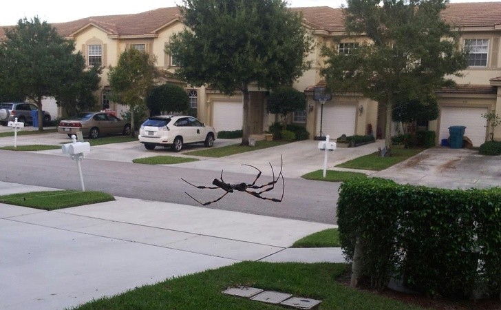 15 hình ảnh đánh lừa thị giác một cách ngoạn mục ảnh 11 15 hình ảnh đánh lừa thị giác một cách ngoạn mục ảnh 11