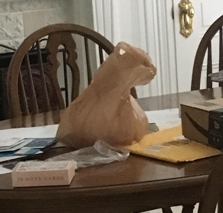 15 hình ảnh đánh lừa thị giác một cách ngoạn mục ảnh 5 15 hình ảnh đánh lừa thị giác một cách ngoạn mục ảnh 5