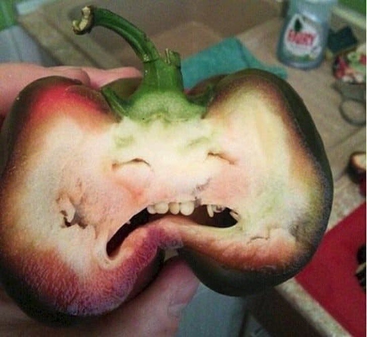 17 hình ảnh vui nhộn dễ gây hiểu lầm nhất ảnh 8 17 hình ảnh vui nhộn dễ gây hiểu lầm nhất ảnh 8