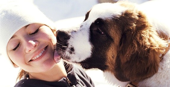 🐾 10 façons de montrer votre amour à votre animal – qu’il comprendra vraiment