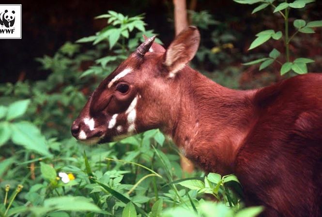 Ảnh minh họa Ảnh minh họa