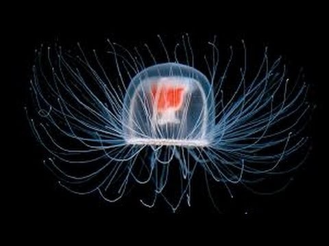 Ảnh minh họa Ảnh minh họa