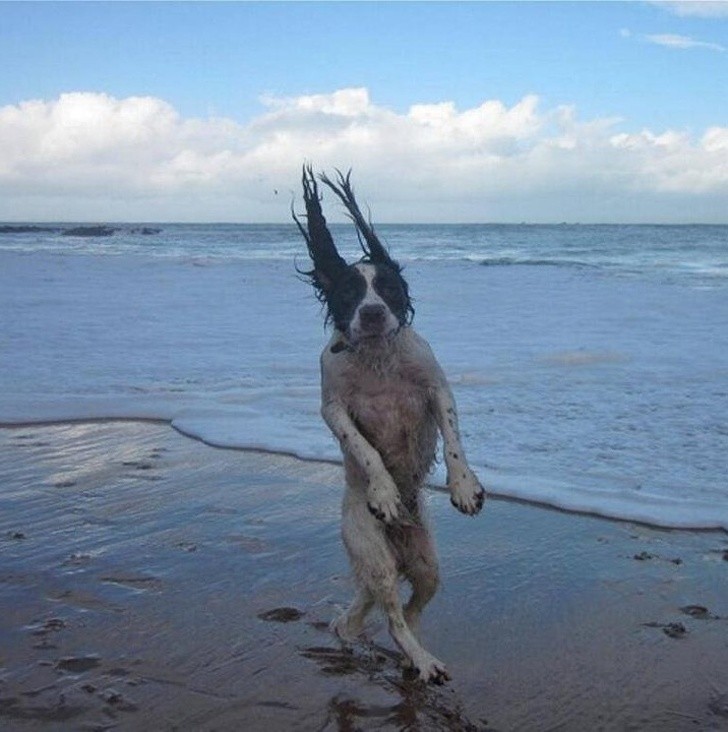 Nguồn: Bright Side