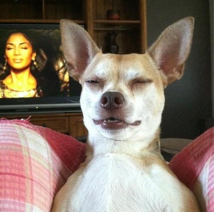 Nguồn: Bright Side